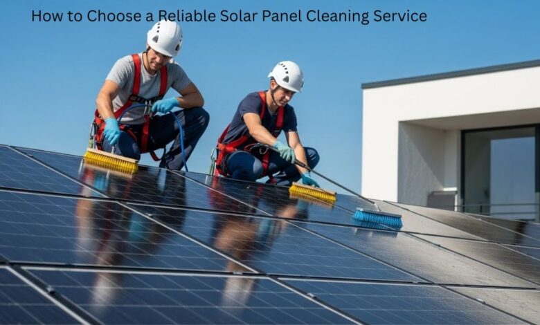 How to Choose a Reliable Solar Panel Cleaning Service