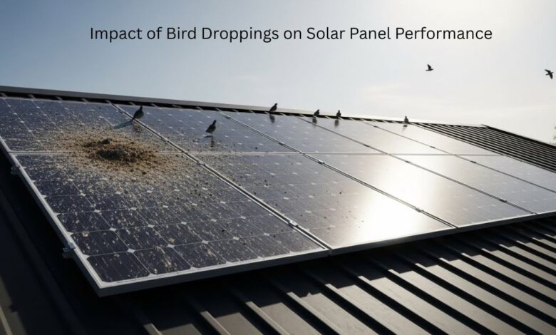 Impact of Bird Droppings on Solar Panel Performance