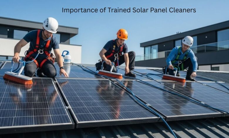 Importance of Trained Solar Panel Cleaners