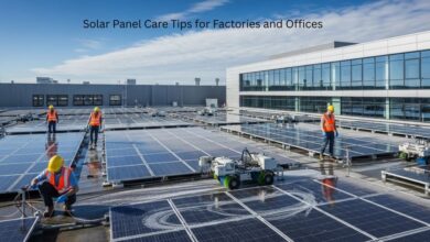 Solar Panel Care Tips for Factories and Offices